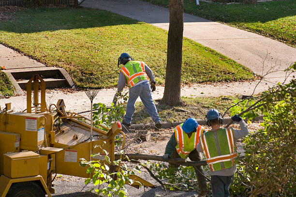 Worthington, OH Tree Removal and Landscaping Services Company